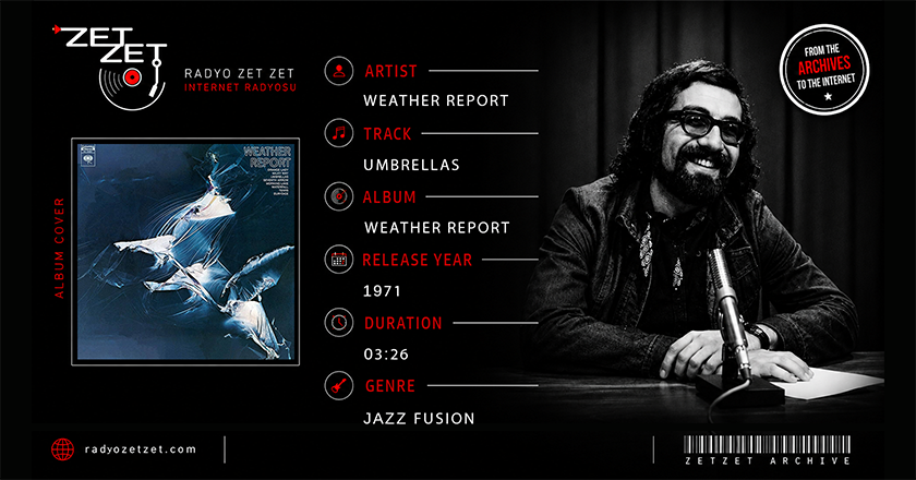 Weather Report Umbrellas